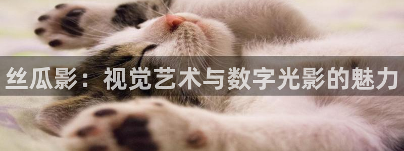 静海麦田电影院明日表