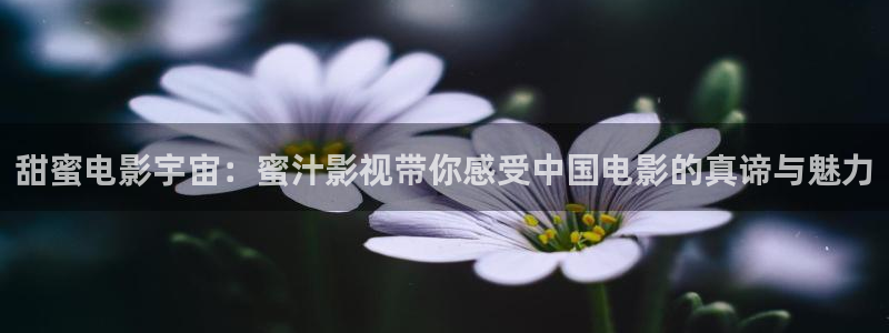麦田影视官网下载：甜蜜电影宇宙：蜜汁影视带你感受中国电影的真谛与魅力