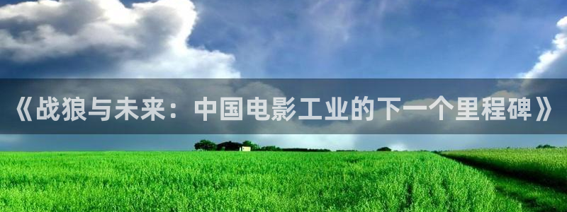 沂水麦田影城：《战狼与未来：中国电影工业的下一个里程碑》