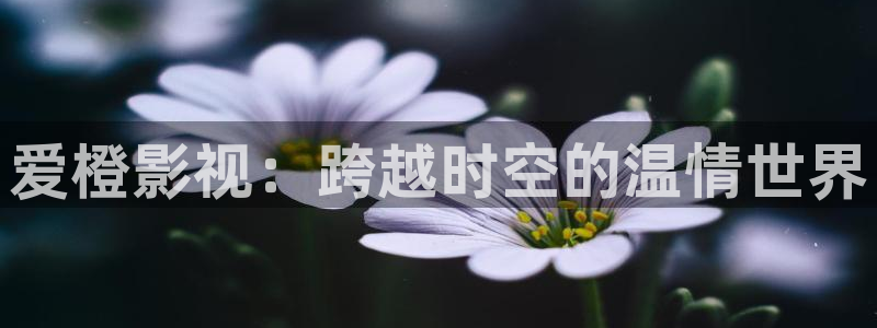 麦田影城：爱橙影视：跨越时空的温情世界
