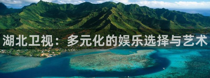 麦田影院免费下载官网：湖北卫视：多元化的娱乐选择与艺术