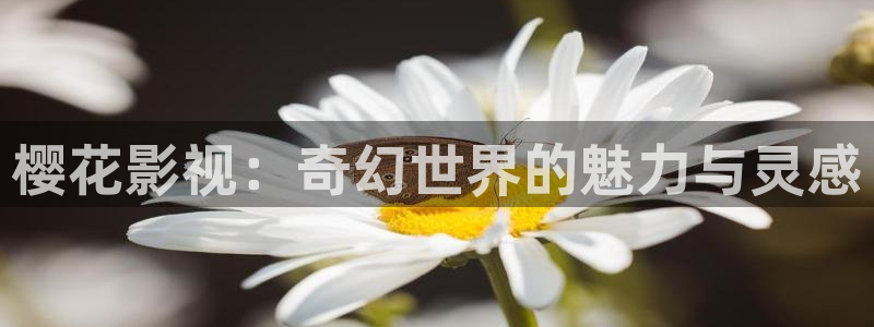 唐山麦田国际影城