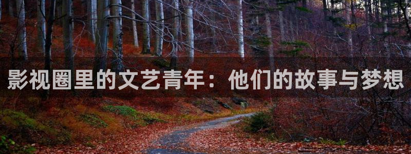 麦田影院app官方下载安装最新版本：影视圈里的文艺青年：他们的故事与梦想