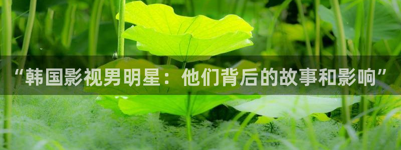 麦田影视在线观看免费：“韩国影视男明星：他们背后的故事和影响”