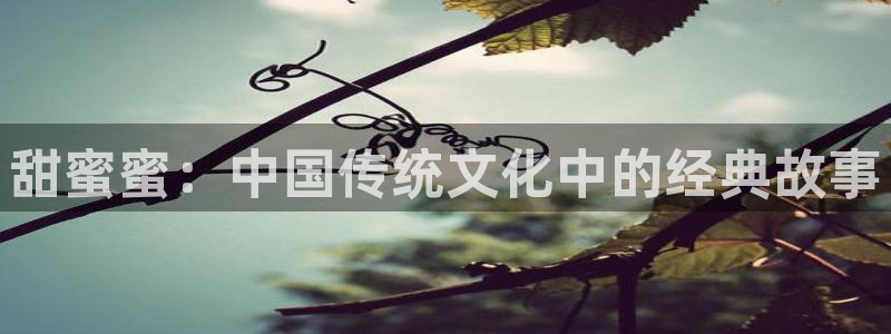 沂水九州麦田影城